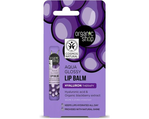 Balsamo labbra all'acido ialuronico e l'estratto di mirtillo Aqua Glossy Organic Shop